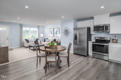 267 Gianna Dr, Angier, NC 27501 - photo 7