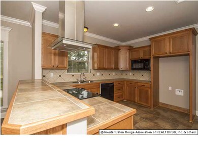 Kitchen/Snack Bar