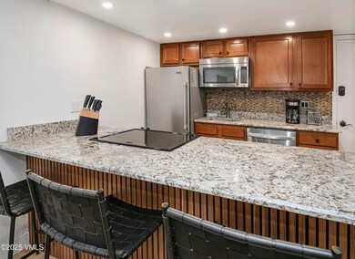 300 E Lionshead Cir unit 211, Vail, CO 81657 - photo 7