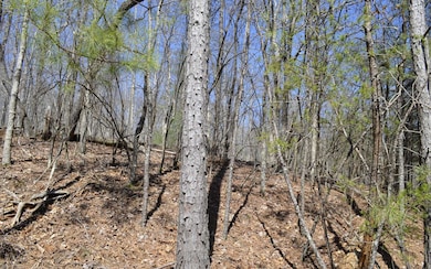 Additional View
