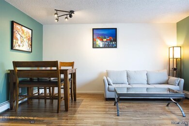 Living room/Dining area