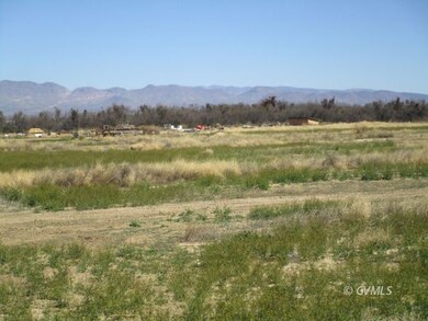 Pasture
