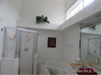 9748 SW 196th Cir, Dunnellon, FL 34432 - photo 6