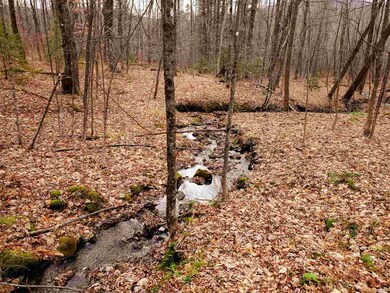 1715 Kittridge Pasture Rd, Reading, VT 05062 - photo 3