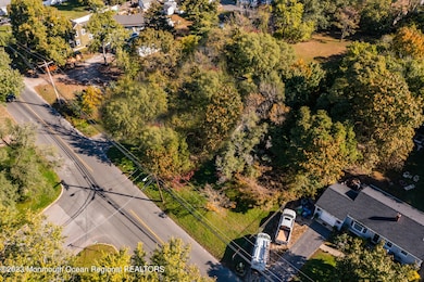 drone pic 4