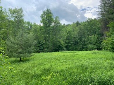 95 Jenne Rd, Hartland, VT 05048 - photo 4