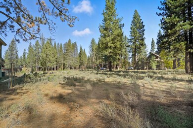 11111 Henness Rd, Truckee, CA 96161 - photo 5