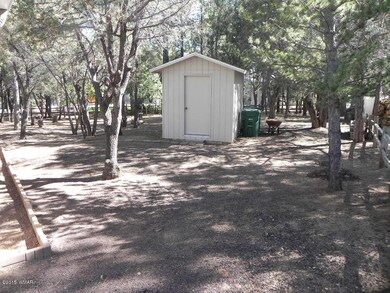 Back Yard Shed