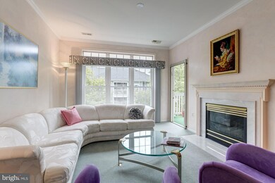 9219 Groffs Mill Dr unit 9219, Owings Mills, MD 21117 - photo 4