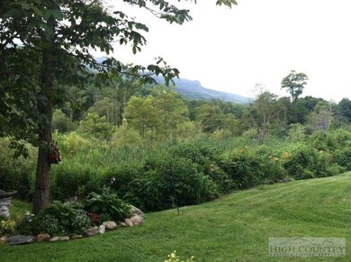 Pretty Back ard area