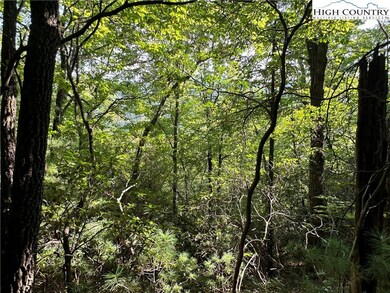 Lot 36E Cascade Run, Purlear, NC 28665 - photo 5