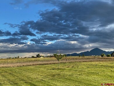 12403 Road 23 25 Loop, Cortez, CO 81321 - photo 2