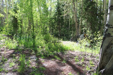 1917 S 1850 E, Brian Head, UT 84719 - photo 5