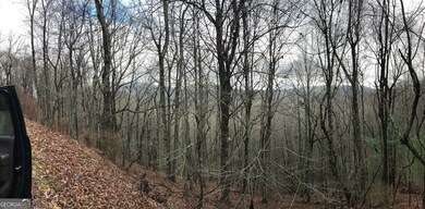 0 Brown Mountain Rd unit 10424867, Flats, NC 28775 - photo 4