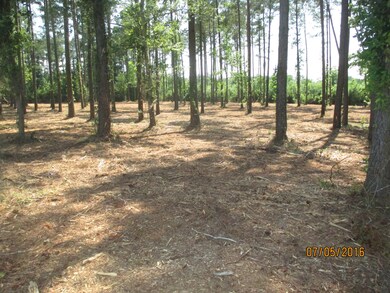 PULLIAM after mowing 002