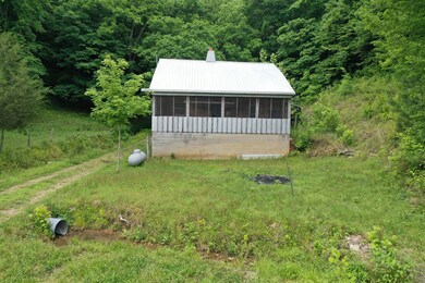 2065 Woods Prong Rd, Linden, TN 37096 - photo 3