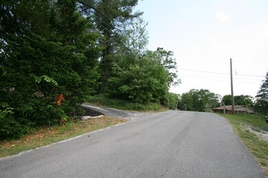 919 S Oakwood St, Rossville, GA 30741 - photo 3