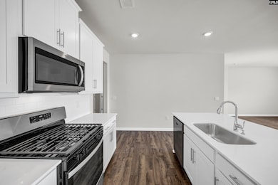 474 Leathertree Ln, Blythewood, SC 29016 - photo 7