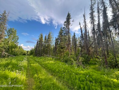 13964 W Little Jack Ave, Wasilla (11)