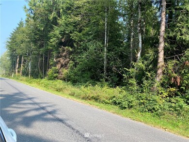 unlisted-address, Arlington, WA 98223 - photo 6