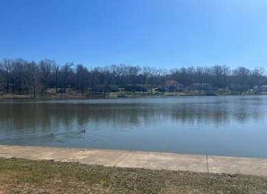 105 Opal Ln, Horseshoe Bend, AR 72512 - photo 3