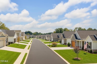 357 Wilson Knob View, Jonesborough, TN 37659 - photo 3