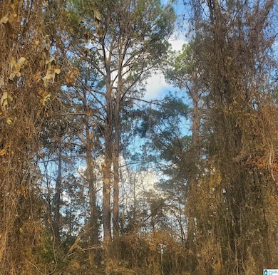 0 Longshore St, Roanoke, AL 36274 - photo 3