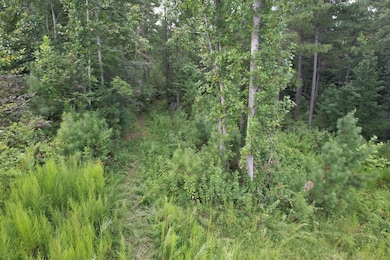 00 Scenic Lane (Lot 183), Granite Falls, NC 28630 - photo 6