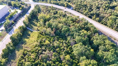 000 Shepherd of the Hills Expy unit 8 Parcels, Branson, MO 65616 - photo 6