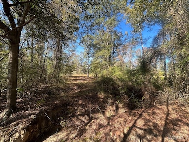 982 Highway 28 E, Camden, AL 36726 - photo 7