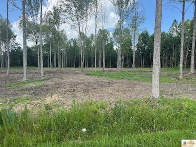 0 Gaskin Ln, Jamestown, KY 42629 - photo 6