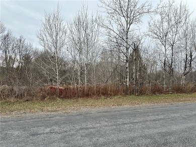 0 Kostenko Sutton Rd, Pitcher, NY 13801 - photo 2