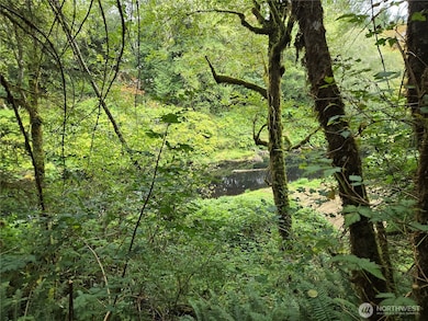 0 Lund Rd, Cosmopolis, WA 98537 - photo 7