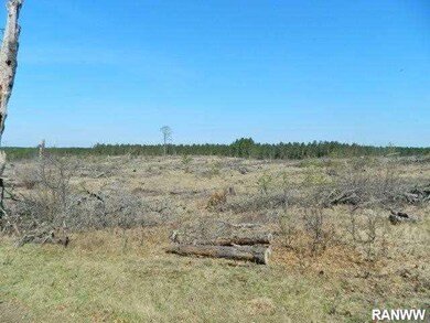 0 French Rd unit 900518, Danbury, WI 54830 - photo 3