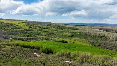 0 Tbd Divide Road 35-38, Gateway, CO 81522 - photo 4