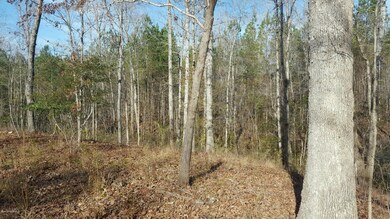 Cleared Area