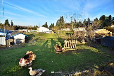 9922 237th Street Ct E, Graham, WA 98338 - photo 5