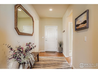 16282 Red Mountain Way, Broomfield, CO 80023 - photo 4