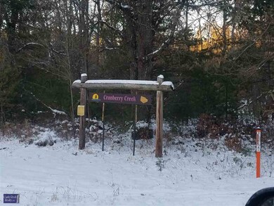 L47 Cranberry Creek Rd, Cutler, WI 54618 - photo 3