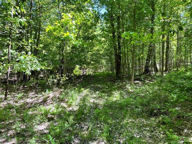 0 Ridge Rd, Hayfield Township, PA 16335 - photo 5