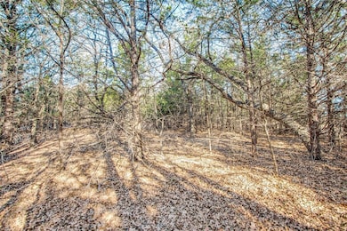 TBD838 County Road 113, Whitesboro, TX 76273 - photo 3