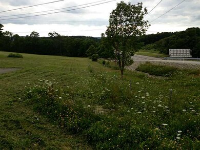 Land. Northeast corner looking down property line 