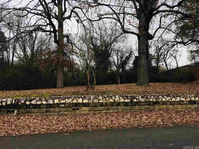 715 N Market St unit 711, Benton, AR 72015 - photo 4