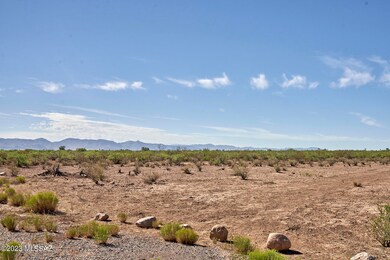 From NW Corner Across Property