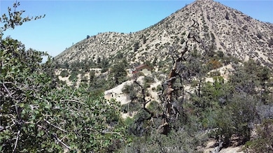 0 Desert Front Rd unit SR25109851, Pinon Hills, CA 92372 - photo 3