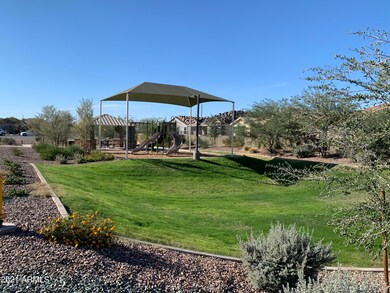 park grass area