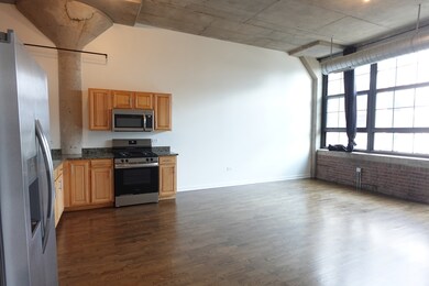 Shoemaker Lofts unit 219, Chicago, IL 60618 - photo 5