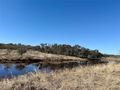 9455 County Road 189, Bangs, TX 76823 - photo 3