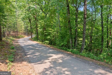 0 Meadowlands Dr unit 10535692, Talking Rock, GA 30175 - photo 4