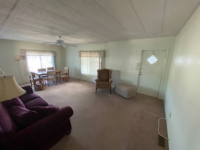 11702 Turks Dr, New Port Richey, FL 34654 - photo 2